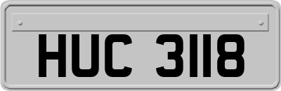 HUC3118