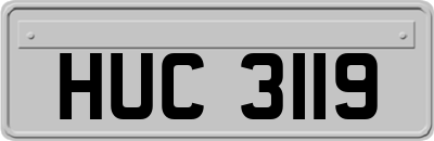 HUC3119