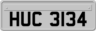 HUC3134