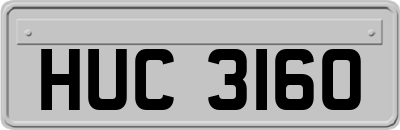 HUC3160