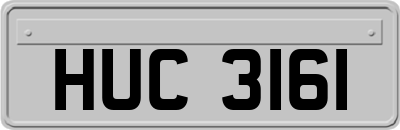 HUC3161