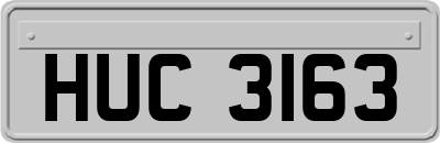 HUC3163