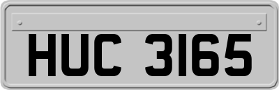 HUC3165