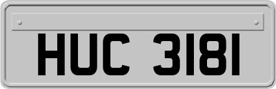 HUC3181