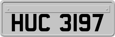 HUC3197