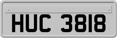 HUC3818