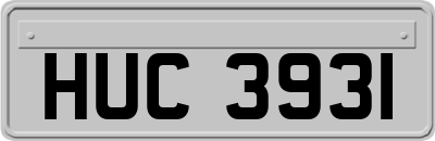 HUC3931