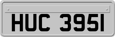 HUC3951