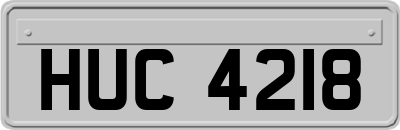 HUC4218