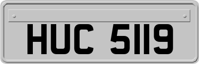 HUC5119