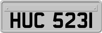 HUC5231