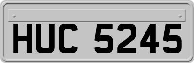 HUC5245