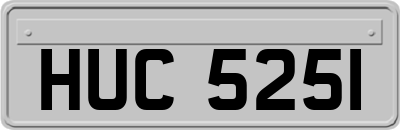 HUC5251