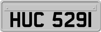 HUC5291