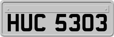 HUC5303