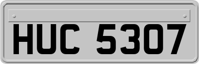 HUC5307