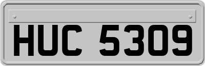 HUC5309