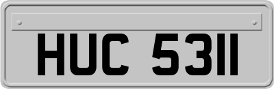 HUC5311