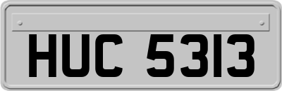 HUC5313