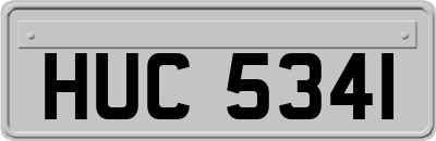 HUC5341