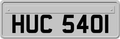 HUC5401