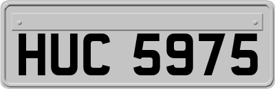 HUC5975