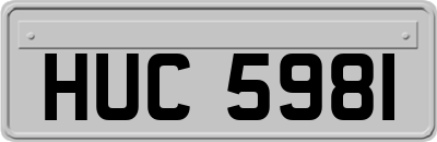 HUC5981