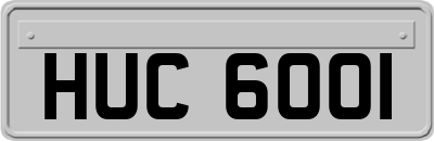 HUC6001