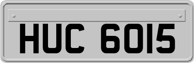 HUC6015