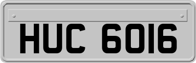 HUC6016