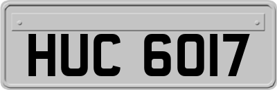 HUC6017