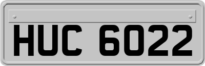 HUC6022