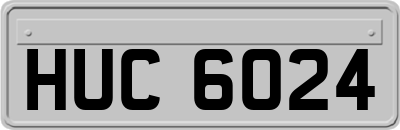 HUC6024