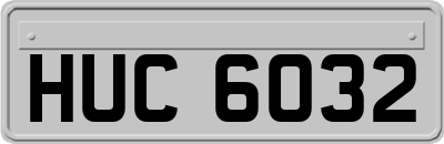 HUC6032