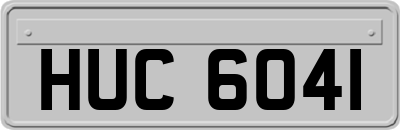 HUC6041