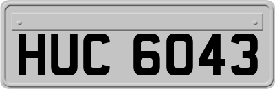 HUC6043