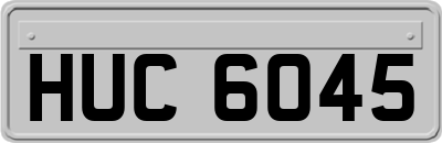 HUC6045