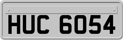 HUC6054