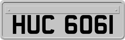 HUC6061