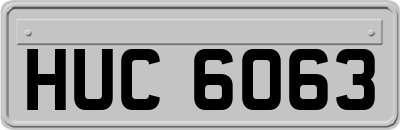 HUC6063