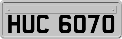 HUC6070