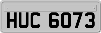 HUC6073