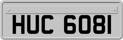 HUC6081