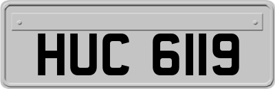 HUC6119