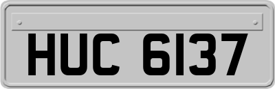 HUC6137