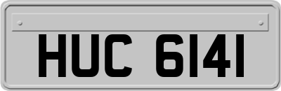 HUC6141