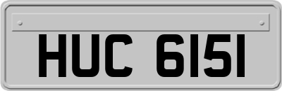 HUC6151