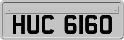 HUC6160