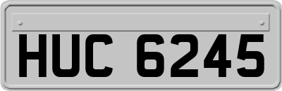 HUC6245