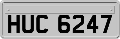 HUC6247